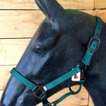 Bozal Premium con Herraje Marron Añejo