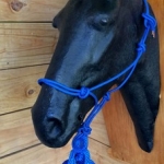 Bozales de Polipropileno con cabresto