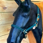 Bozal Doble Tira Nasal Ajustable