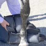 SACHET ICE HORSE FRÍO