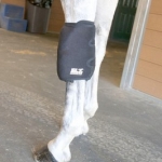 ICE HORSE PARA RODILLA