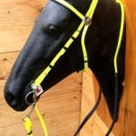 RIENDA Y CABEZADA EN BIOTHANE