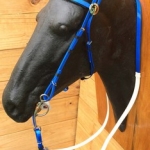 RIENDA Y CABEZADA EN BIOTHANE