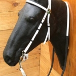 RIENDA Y CABEZADA EN BIOTHANE