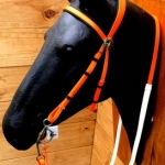 RIENDA Y CABEZADA EN BIOTHANE