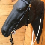 RIENDA Y CABEZADA EN BIOTHANE