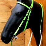 RIENDA Y CABEZADA EN BIOTHANE