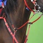 PECHERAS DE BIOTHANE IMPORTADAS