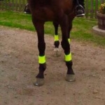 BANDAS FLUORESCENTES VERDE NEON CON VELCRO