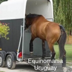 PROTECTORES PARA VIAJE STANDARD